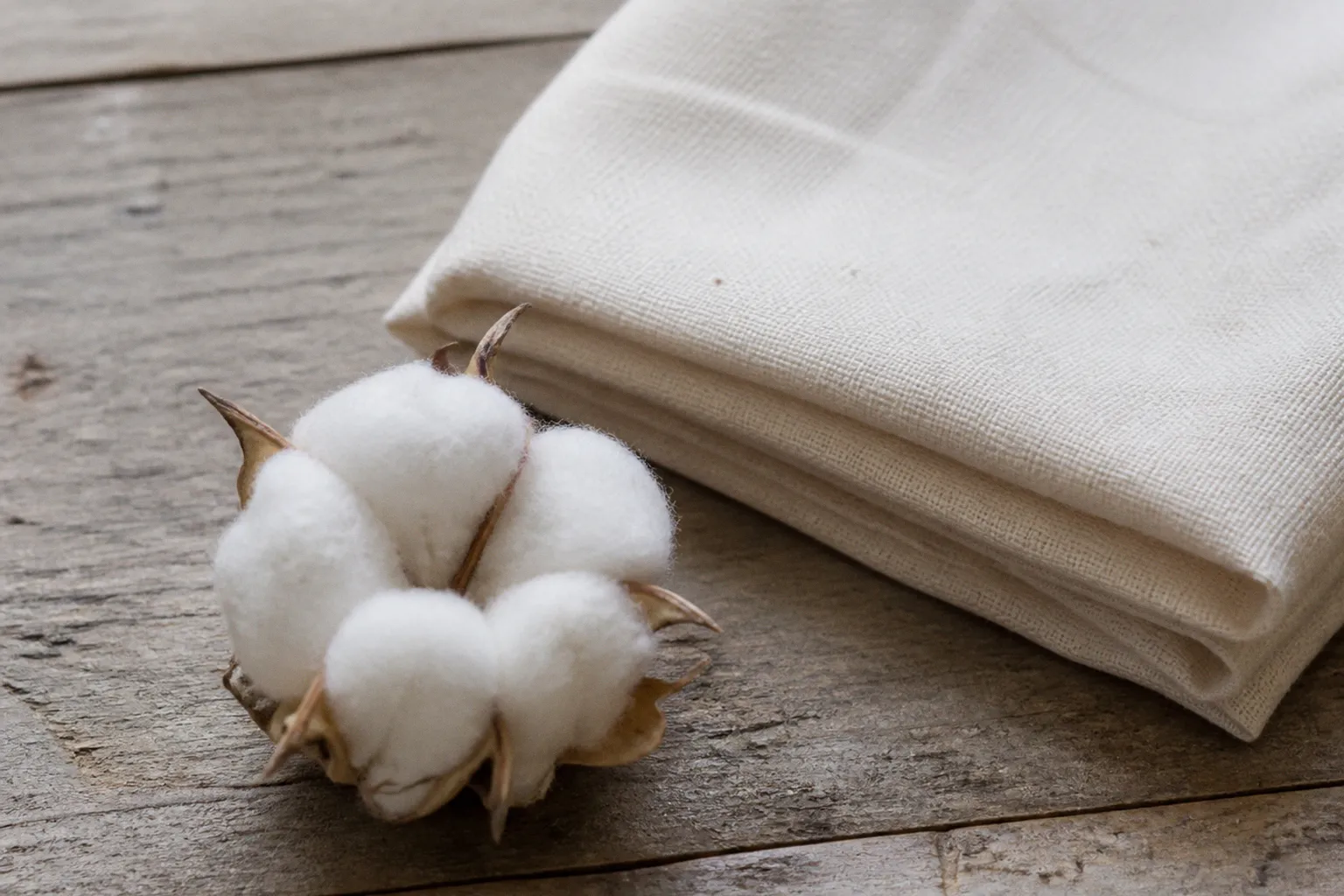 Coton certifié GOTS : définition et critères du label