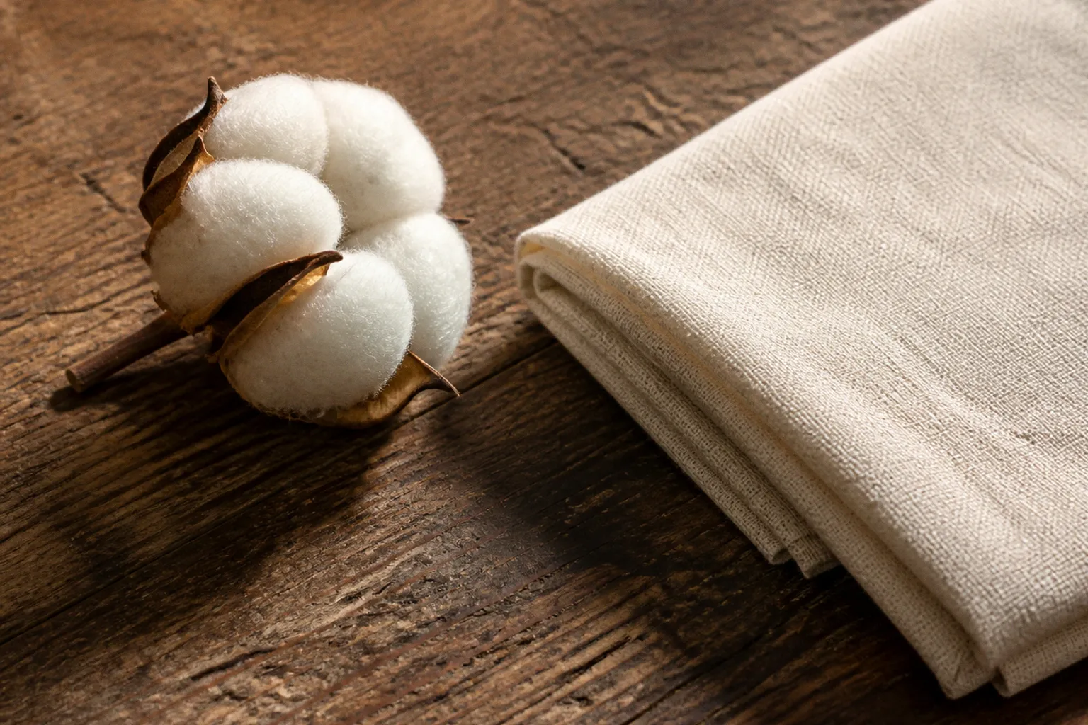 Coton certifié GOTS : définition et garanties du label